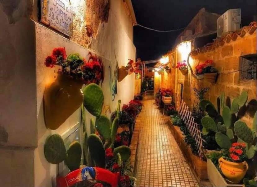 Nido Colorato B&B Фонтане-Бьянке Экстерьер фото